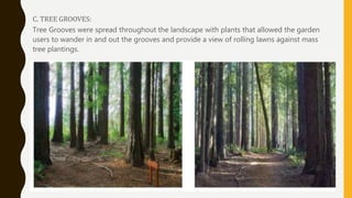 Grooves Tree ENGLISH GARDENS | PPTX