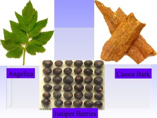 Angelica Cassia Bark
Juniper Berries
 