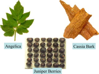 Angelica

Cassia Bark

Juniper Berries

 