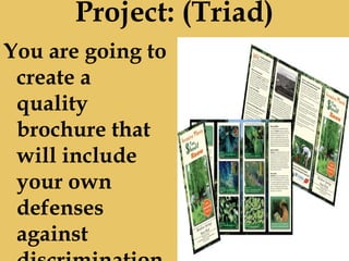 Project: (Triad)
You are going to
create a
quality
brochure that
will include
your own
defenses
against
 