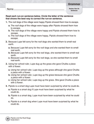 Grammar
                                                                  Review: Run-On
 Name                                                               Sentences


Read each run-on sentence below. Circle the letter of the sentence
that shows the best way to correct the run-on sentence.
1. The roof dogs of the village were happy Pipiolo showed them how to escape.
  a. The roof dogs of the village were happy after Pipiolo showed them how
     to escape.
  b. The roof dogs of the village were happy and Pipiolo showed them how to
     escape.
  c. The roof dogs of the village were happy, Pipiolo showed them how to
     escape.
2. Because Lupe felt sorry for the roof dogs she wanted them to smell real
   earth.
  a. Because Lupe felt sorry for the roof dogs and she wanted them to smell
     real earth.
  b. Because Lupe felt sorry for the roof dogs, she wanted them to smell real
     earth.
  c. Because Lupe felt sorry for the roof dogs, so she wanted them to smell
     real earth.
3. Using her school ruler, Lupe dug up the grass she gave Chulita a piece
   with a flower.
  a. Using her school ruler, Lupe dug up the grass although she gave Chulita
     a piece with a flower.
  b. Using her school ruler, Lupe dug up the grass because she gave Chulita
     a piece with a flower.
  c. Using her school ruler, Lupe dug up the grass. She gave Chulita a piece
     with a flower.
4. Pipiolo is a smart dog Lupe must have been surprised by what he could do.
  a. Pipiolo is a smart dog if Lupe must have been surprised by what he
     could do.
                                                                                   © Macmillan/McGraw-Hill




  b. Pipiolo is a smart dog. Lupe must have been surprised by what he could
     do.
  c. Pipiolo is a smart dog when Lupe must have been surprised by what he
     could do.




 30   Pipiolo and the Roof Dogs
      Grade 5/Unit 1
 