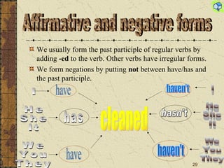 We usually form the past participle of regular verbs by adding  -ed  to the verb. Other verbs have irregular forms.  We form negations by putting  not  between have/has and the past participle. Affirmative and negative forms I  He She It We You They have has have I He She It We You They haven't haven't hasn't cleaned 
