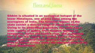Flora and fauna
Sikkim is situated in an ecological hotspot of the
lower Himalayas, one of only three among the
ecoregions of India. The forested regions of the
state exhibit a diverse range of fauna and flora.
Owing to its altitudinal gradation, the state has a
wide variety of plants, from tropical species to
temperate, alpine and tundra ones, and is perhaps
one of the few regions to exhibit such a diversity
within such a small area. Nearly 81 per cent of the
area of Sikkim comes under the administration of its
forest department.
 
