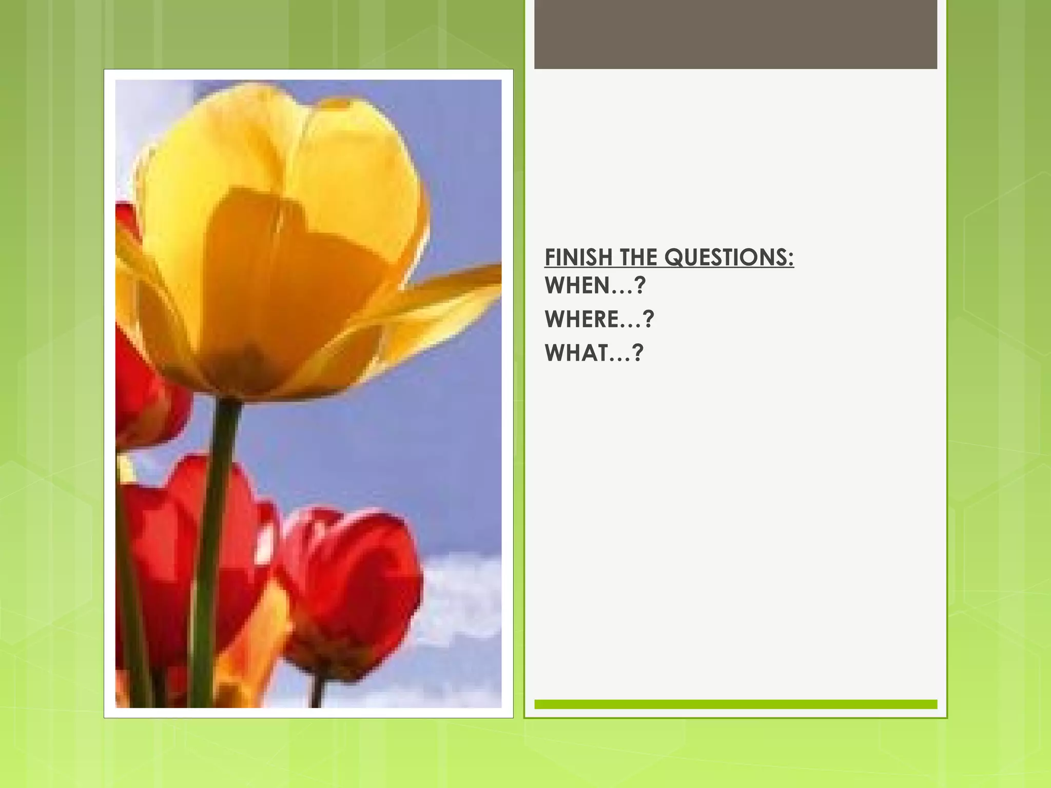 FINISH THE QUESTIONS:
WHEN…?
WHERE…?
WHAT…?
