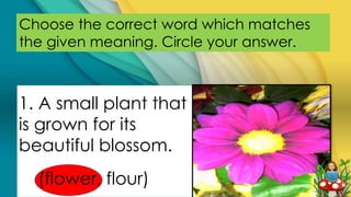 Choose the correct word which matches
the given meaning. Circle your answer.
1. A small plant that
is grown for its
beautiful blossom.
(flower, flour)
 