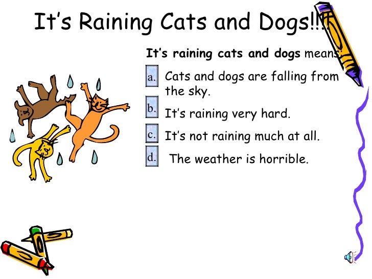 raining cats and dogs origin idioms raining cats and dogs origin idioms