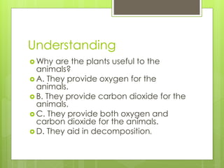 Understanding
 Why are the plants useful to the
animals?
 A. They provide oxygen for the
animals.
 B. They provide carbon dioxide for the
animals.
 C. They provide both oxygen and
carbon dioxide for the animals.
 D. They aid in decomposition.
 