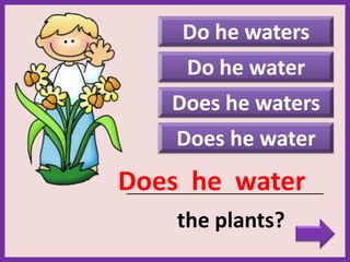 Do he waters
Does he waters
Does he water
_____________________________________________
the plants?
Does he water
Do he water
 
