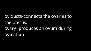 oviducts-connects the ovaries to
the uterus.
ovary- produces an ovum during
ovulation
 