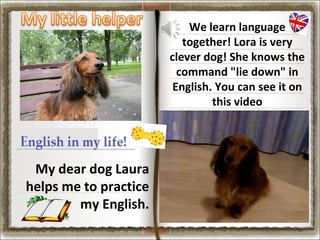 We learn language
together! Lora is very
clever dog! She knows the
command "lie down" in
English. You can see it on
this video

My dear dog Laura
helps me to practice
my English.

 