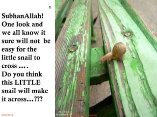 SubhanAllah!
One look and
we all know it
sure will not be
easy for the
little snail to
cross ….
Do you think
this LITTLE
snail will make
it across…???
1
5/20/2012 norhainimatlajisAuthorisedIC
 