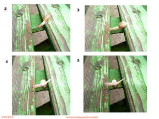 2 3
4 5
5/20/2012 norhainimatlajisAuthorisedIC
 