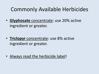 Commonly Available Herbicides
• Glyphosate concentrate: use 20% active
ingredient or greater.
• Triclopyr concentrate: use 8% active
ingredient or greater.
• Always read the herbicide label!
 