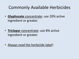 Commonly Available Herbicides
• Glyphosate concentrate: use 20% active
ingredient or greater.
• Triclopyr concentrate: use...