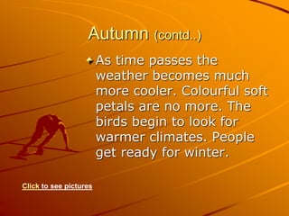 Autumn (contd..)
As time passes the
weather becomes much
more cooler. Colourful soft
petals are no more. The
birds begin to look for
warmer climates. People
get ready for winter.
Click to see pictures
 
