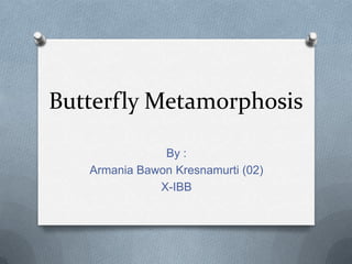 Butterfly Metamorphosis
By :
Armania Bawon Kresnamurti (02)
X-IBB

 
