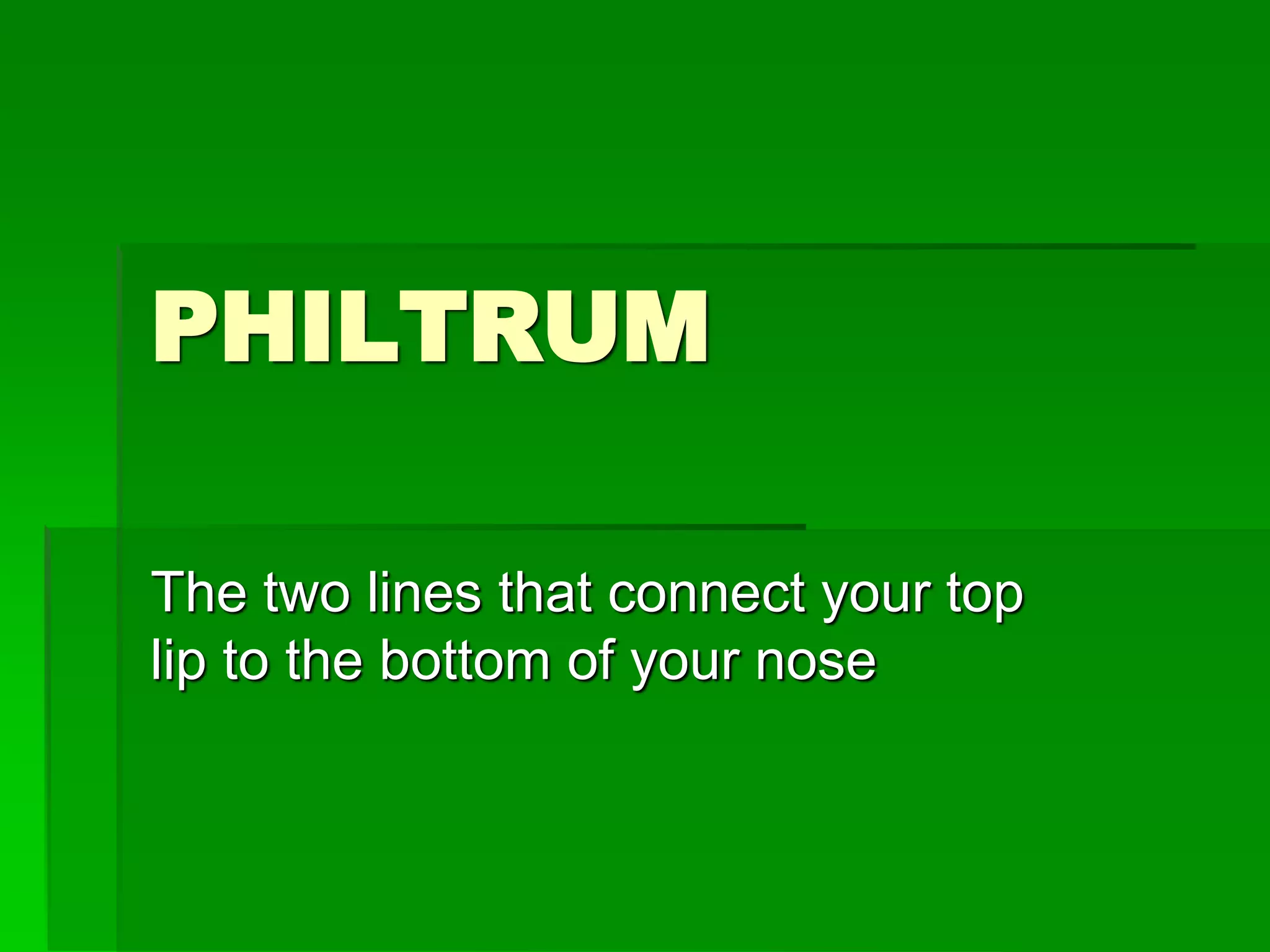 PHILTRUM
The two lines that connect your top
lip to the bottom of your nose