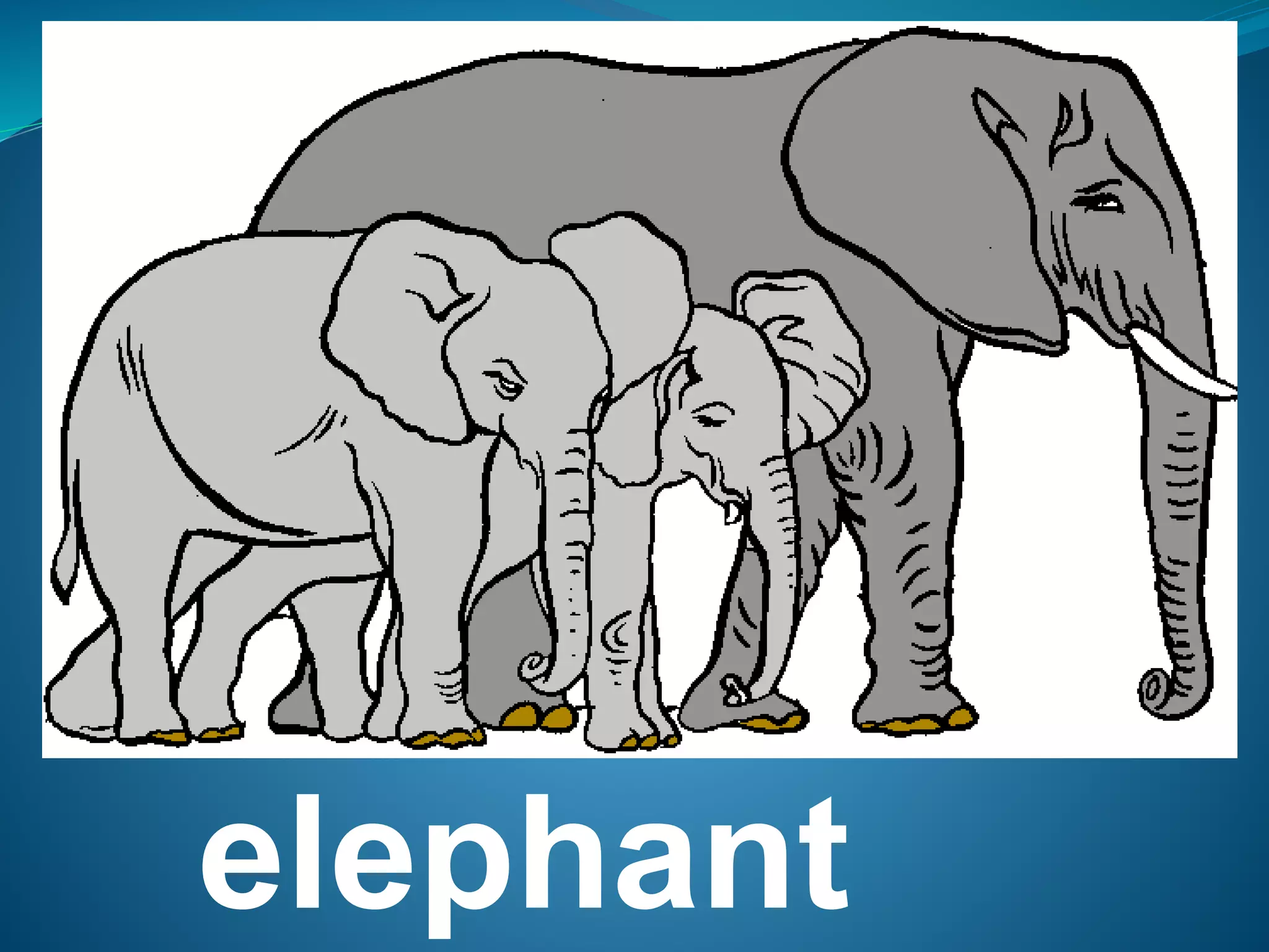 English lesson 2 animal sound | PPTX