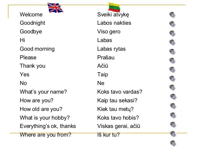 Lithuanian language to english dictionary Lithuanian language to english dictionary