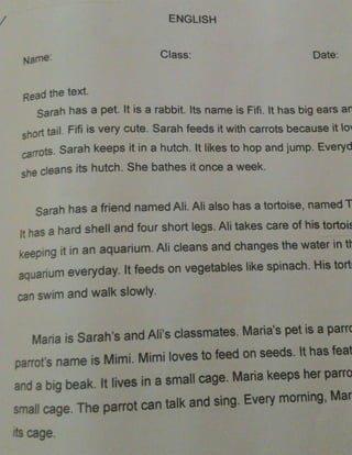 English lp year 3 reading