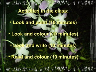 Activities in the class: Look and point (10 minutes) Look and colour (10 minutes) Look and write (10 minutes) Read and colour (10 minutes) 