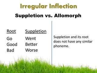 English morphology inflection | PPTX