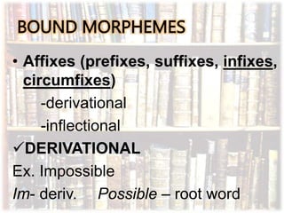English morphology, introduction | PPTX