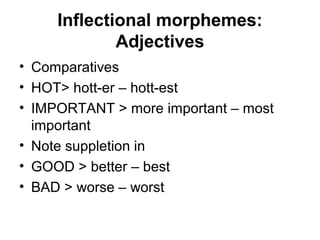 English morphology–lecture2 | PPT