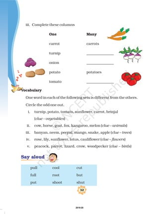 iii. Complete these columns
carrot carrots
turnip _______________
onion _______________
potato potatoes
tomato _______________
One word in each of the following sets is different from the others.
Circle the odd one out.
i. turnip, potato, tomato, sunflower, carrot, brinjal
( )
ii. cow, horse, goat, fox, kangaroo, melon ( )
iii. banyan, neem, peepal, mango, snake, apple ( )
iv. rose, lily, sunflower, lotus, cauliflower ( )
v. peacock, parrot, lizard, crow, woodpecker ( )
pull cool cut
full root but
put shoot shut
One Many
Vocabulary
clue – vegetables
clue – animals
clue – trees
clue – flowers
clue – birds
!
Say aloud
2019-20
 