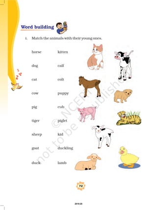 Word building
i. Match the animals with their young ones.
horse kitten
dog calf
cat colt
cow puppy
pig cub
tiger piglet
sheep kid
goat duckling
duck lamb
72
2019-20
 