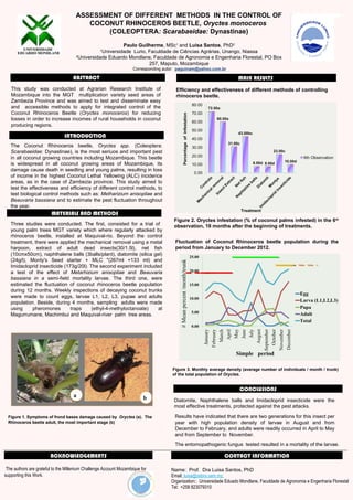 ASSESSMENT OF DIFFERENT METHODS IN THE CONTROL OF
COCONUT RHINOCEROS BEETLE, Oryctes monoceros
(COLEOPTERA: Scarabaeidae: Dynastinae)
Paulo Guilherme, MSc1
and Luisa Santos, PhD2
1
Universidade Lurio, Faculdade de Ciências Agrárias, Unango, Niassa
2
Universidade Eduardo Mondlane, Faculdade de Agronomia e Engenharia Florestal, PO Box
257, Maputo, Mozambique
Corresponding autor: paguinam@yahoo.com.br
ABSTRACT
A
B
MATERIALS AND METHODS
CONCLUSIONS
ACKNOWLEDGEMENTS
The authors are grateful to the Millenium Challenge Account Mozambique for
supporting this Work.
CONTACT INFORMATION
Name: Prof. Dra Luisa Santos, PhD
Email: luisa@zebra.uem.mz
Organization:: Universidade Eduado Mondlane, Faculdade de Agronomia e Engenharia Florestal
Tel: +258 823079310
INTRODUCTION
This study was conducted at Agrarian Research Institute of
Mozambique into the MGT multiplication variety seed areas of
Zambezia Province and was aimed to test and disseminate easy
and accessible methods to apply for integrated control of the
Coconut Rhinoceros Beetle (Oryctes monoceros) for reducing
losses in order to increase incomes of rural households in coconut
producing regions.
The Coconut Rhinoceros beetle, Oryctes spp. (Coleoptera:
Scarabaeidae: Dynastinae), is the most seriuos and important pest
in all coconut growing countries including Mozambique. This beetle
is widespread in all coconut growing areas of Mozambique, its
damage cause death in seedling and young palms, resulting in loss
of income in the highest Coconut Lethal Yellowing (ALC) incidence
areas, as in the case of Zambezia province. This study aimed to
test the effectiveness and efficiency of different control methods, to
test biological control methods such as: Metharizium anisopliae and
Beauvaria bassiana and to estimate the pest fluctuation throughout
the year.
Three studies were conducted. The first, consisted for a trial of
young palm trees MGT variety which where regularly attacked by
rhinoceros beetle, installed at Maquival-rio. Beyond the control
treatment, there were applied the mechanical removal using a metal
harpoon, extract of adult dead insects(30/1.5l), net fish
(10cmx50cm), naphthalene balls (3balls/plant), diatomite (silica gel)
(24g/l), Monty's Seed starter + MLC "(267ml +133 ml) and
Imidacloprid insecticide (173g/20l). The second experiment included
a test of the effect of Metarhizium anisopliae and Beauvaria
bassiana in a semi-field mortality larvae. The third one, were
estimated the fluctuation of coconut rhinoceros beetle population
during 12 months. Weekly inspections of decaying coconut trunks
were made to count eggs, larvae L1, L2, L3, pupae and adults
population. Beside, during 4 months, sampling adults were made
using pheromones traps (ethyl-4-methyloctanoate) at
Magurrumane, Machimbui and Maquival-river palm tree areas.
Efficiency and effectiveness of different methods of controlling
rhinoceros beetle.
b
Figure 1. Symptoms of frond bases damage caused by Oryctes (a). The
Rhinoceros beetle adult, the most important stage (b)
a
MAIN RESULTS
Figure 2. Oryctes infestation (% of coconut palms infested) in the 6th
observation, 18 months after the beginning of treatments.
Figure 3. Monthly average density (average number of individuals / month / trunk)
of the total population of Oryctes.
Fluctuation of Coconut Rhinoceros beetle population during the
period from January to December 2012.
Diatomite, Naphthalene balls and Imidacloprid insecticide were the
most effective treatments, protected against the pest attacks.
Results have indicated that there are two generations for this insect per
year with high population density of larvae in August and from
December to February, and adults were readily occurred in April to May
and from September to November.
The entomopathogenic fungus tested resulted in a mortality of the larvae.
 