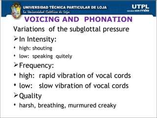 VOICING AND PHONATION
Variations of the subglottal pressure
In Intensity:
 high: shouting
 low: speaking quitely
Frequency:
 high: rapid vibration of vocal cords
 low: slow vibration of vocal cords
Quality
 harsh, breathing, murmured creaky
17
 