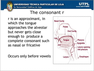 The consonant r
r is an approximant, in
which the tongue
approaches the alveolar
but never gets close
enough to produce a
complete consonant such
as nasal or fricative
Occurs only before vowels
37
 