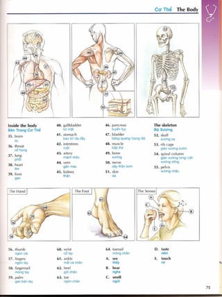 English picture dictionary 2