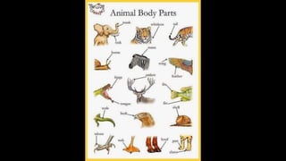 Learn English by pictures