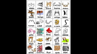 Learn English by pictures