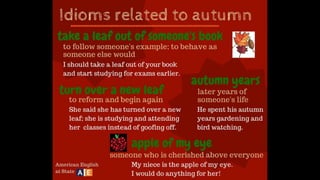 Learn English by pictures