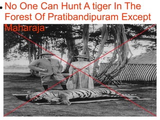  No One Can Hunt A tiger In The
Forest Of Pratibandipuram Except
Maharaja
 