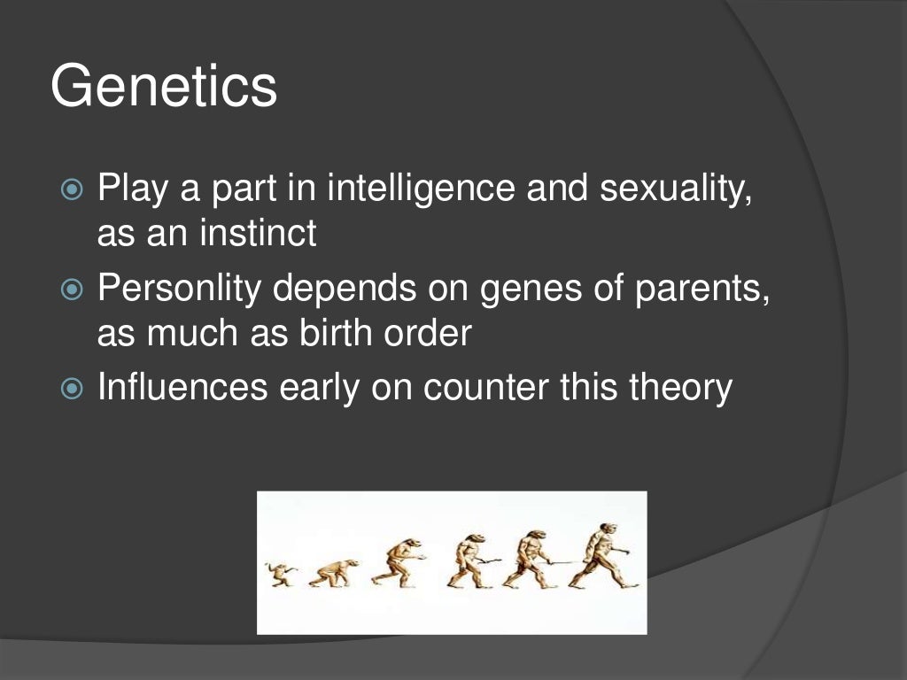 the birth order theory essay