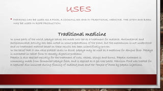 USES
• PAPAYAS CAN BE USED AS A FOOD, A COOKING AID AND IN TRADITIONAL MEDICINE. THE STEM AND BARK
MAY BE USED IN ROPE PRODUCTION.
Traditional medicine
In some parts of the world, papaya leaves are made into tea as a treatment for malaria. Antimalarial and
antiplasmodial activity has been noted in some preparations of the plant, but the mechanism is not understood
and no treatment method based on these results has been scientifically proven.
In the belief that it can raise platelet levels in blood, papaya may be used as a medicine for dengue fever. Papaya
is marketed in tablet form to remedy digestive problems
Papain is also applied topically for the treatment of cuts, rashes, stings and burns. Papain ointment is
commonly made from fermented papaya flesh, and is applied as a gel-like paste. Harrison Ford was treated for
a ruptured disc incurred during filming of Indiana Jones and the Temple of Doom by papain injections.
 