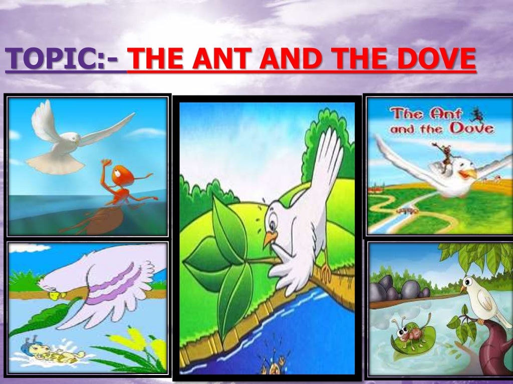 STORY WRITING (THE ANT AND THE DOVE)