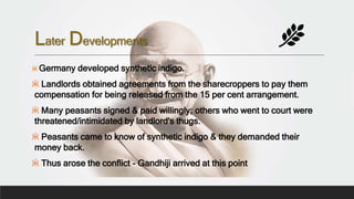 Later Developments
Ӝ Germany developed synthetic indigo.
Ӝ Landlords obtained agreements from the sharecroppers to pay them
compensation for being released from the 15 per cent arrangement.
Ӝ Many peasants signed & paid willingly; others who went to court were
threatened/intimidated by landlord's thugs.
Ӝ Peasants came to know of synthetic indigo & they demanded their
money back.
Ӝ Thus arose the conflict - Gandhiji arrived at this point
 