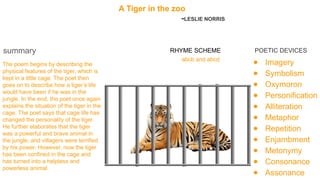 A Tiger in the zoo
-LESLIE NORRIS
● Imagery
● Symbolism
● Oxymoron
● Personification
● Alliteration
● Metaphor
● Repetition
● Enjambment
● Metonymy
● Consonance
● Assonance
POETIC DEVICES
abcb and abcd
RHYME SCHEME
The poem begins by describing the
physical features of the tiger, which is
kept in a little cage. The poet then
goes on to describe how a tiger’s life
would have been if he was in the
jungle. In the end, the poet once again
explains the situation of the tiger in the
cage. The poet says that cage life has
changed the personality of the tiger.
He further elaborates that the tiger
was a powerful and brave animal in
the jungle, and villagers were terrified
by his power. However, now the tiger
has been confined in the cage and
has turned into a helpless and
powerless animal.
summary
 