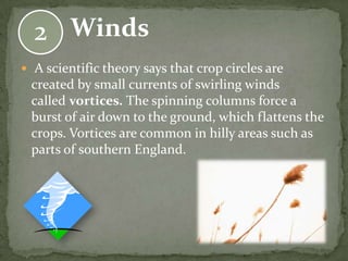 2 Winds
 A scientific theory says that crop circles are
 created by small currents of swirling winds
 called vortices. The spinning columns force a
 burst of air down to the ground, which flattens the
 crops. Vortices are common in hilly areas such as
 parts of southern England.
 
