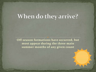 Off-season formations have occurred, but
   most appear during the three main
   summer months of any given count
 