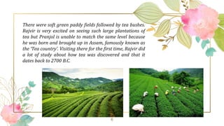 6
There were soft green paddy fields followed by tea bushes.
Rajvir is very excited on seeing such large plantations of
te...
