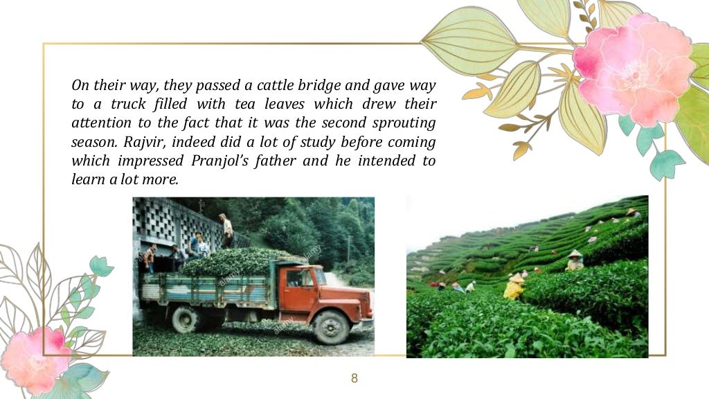 Tea From Assam Glimpses Of India CBSE Class 10 English PPT Pr…