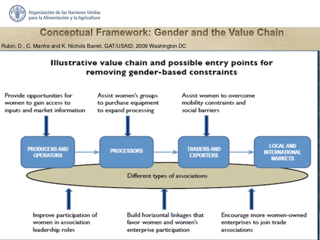 Study Gender and the Cotton Value Chain in Mercosur countries High…
