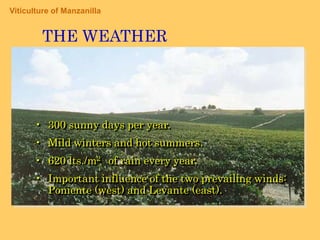 Denomination of Origin1933: Foundation of  Denominación deOrigenTheoldest DO in Spain and one of theoldest in Europe.Foundation of  the Consejo Regulador  for sectorial representation .Control systemforwineyardtothemarket.Warranty of origin and qualityfortheconsumers.