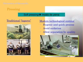 High porosity, which helps retain moisture.